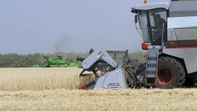Российская пшеница подорожала до максимума за девять лет